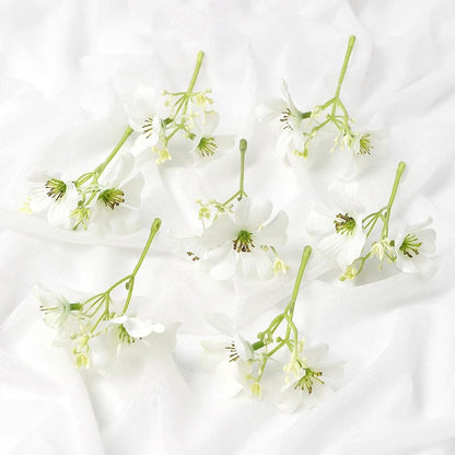 Timeless Flower (5pc)